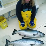 Two of my King Salmon – I always caught my limit (and added to the boat’s limits), all with the help of Grandpa Alex’s “magic” gloves!