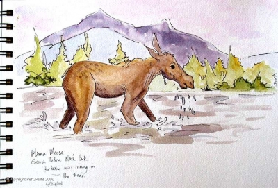 Sketching with a few other folks from a weekend drawing workshop at the Teton Science School – we looked across the stream and there was a moose and her baby. We watched them for nearly an hour!