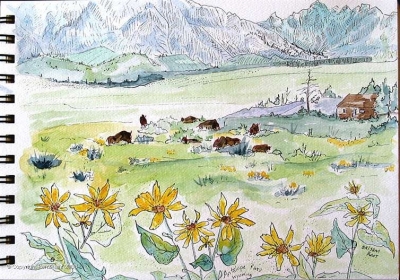 The Grand Tetons are my favorite range in all of the Rocky Mountains. Just south of Yellowstone National Park in northwest Wyoming, the park doesn’t get the attention it deserves, in my opinion. I sketched this with the Teton Science School group, looking across the meadow at a herd of buffalo. The Tetons were named by French trappers – Grand Titties!